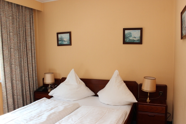 Hotel Wiking